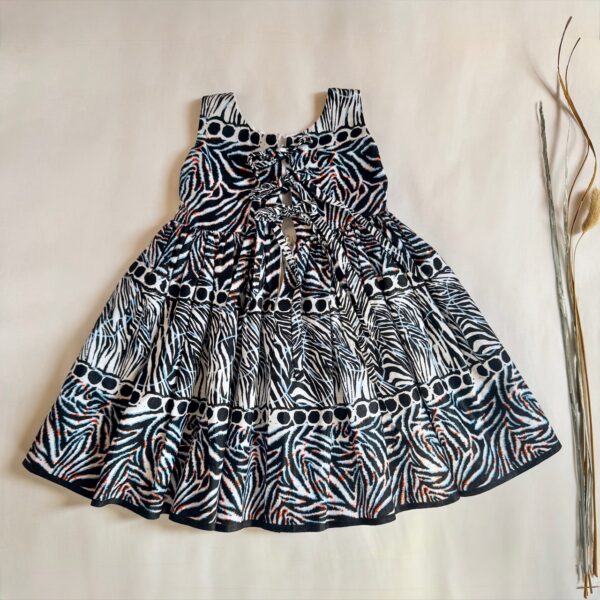 Little Explorer Zebra Dress