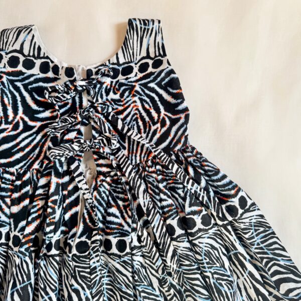 Little Explorer Zebra Dress